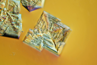 Cristal de chlorure de sodium CIT x15